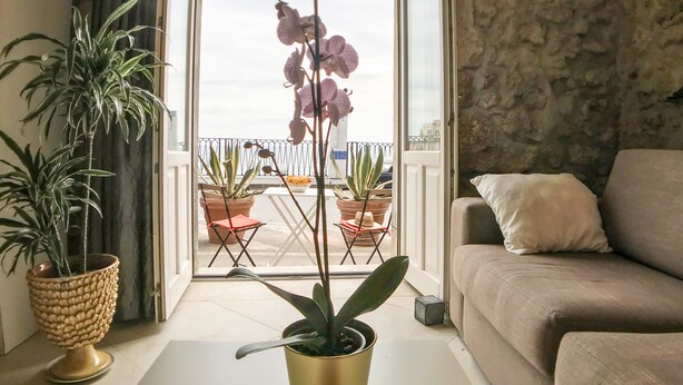 A living room with a sofa, a coffee table with a potted plant, and a balcony with chairs and a railing. - Calarossa beachfront apartment (Syracuse)