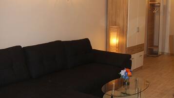 City Apartment, 1 Queen Bed with Sofa bed, Patio | Living area | Flat-screen TV