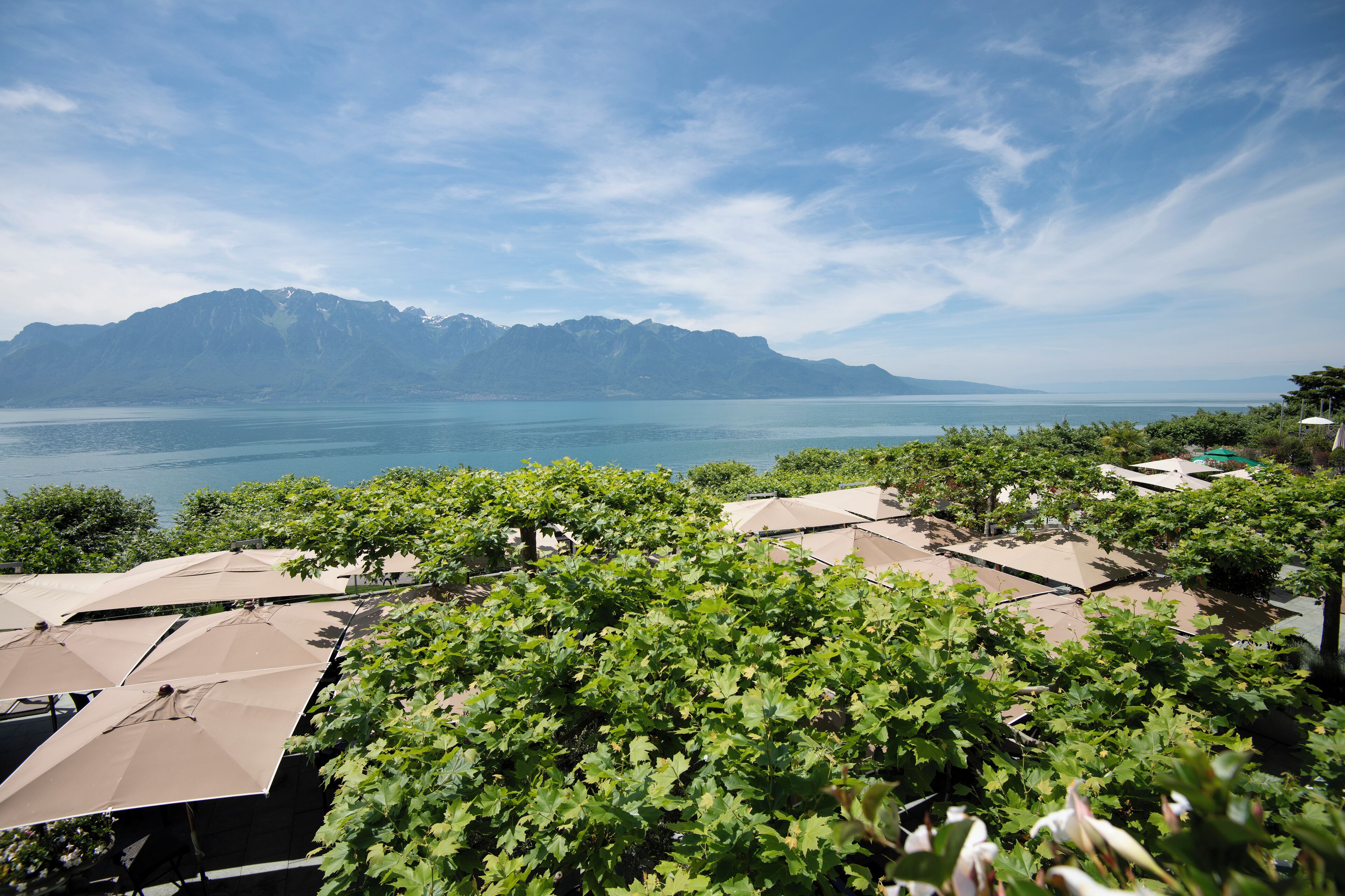 Suite (Imperial Suite) | Terrace/patio