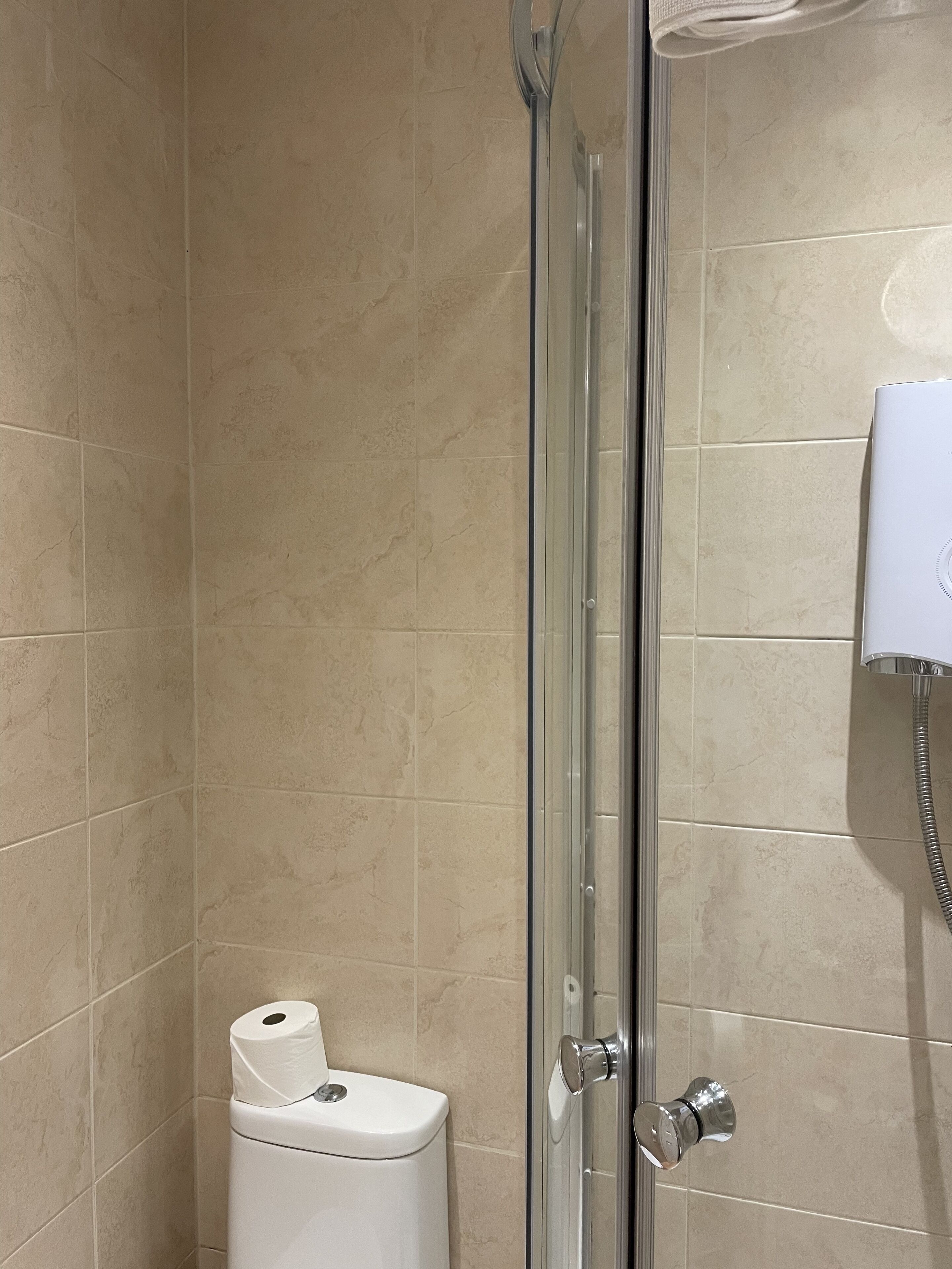 A shower enclosure with a glass door, a toilet with a roll of toilet paper, and a handheld showerhead.