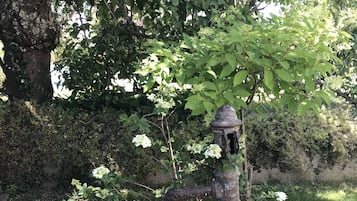 Tuin