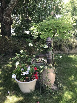 Garden - Ancienne Ecole Du Chapuy (Romans)