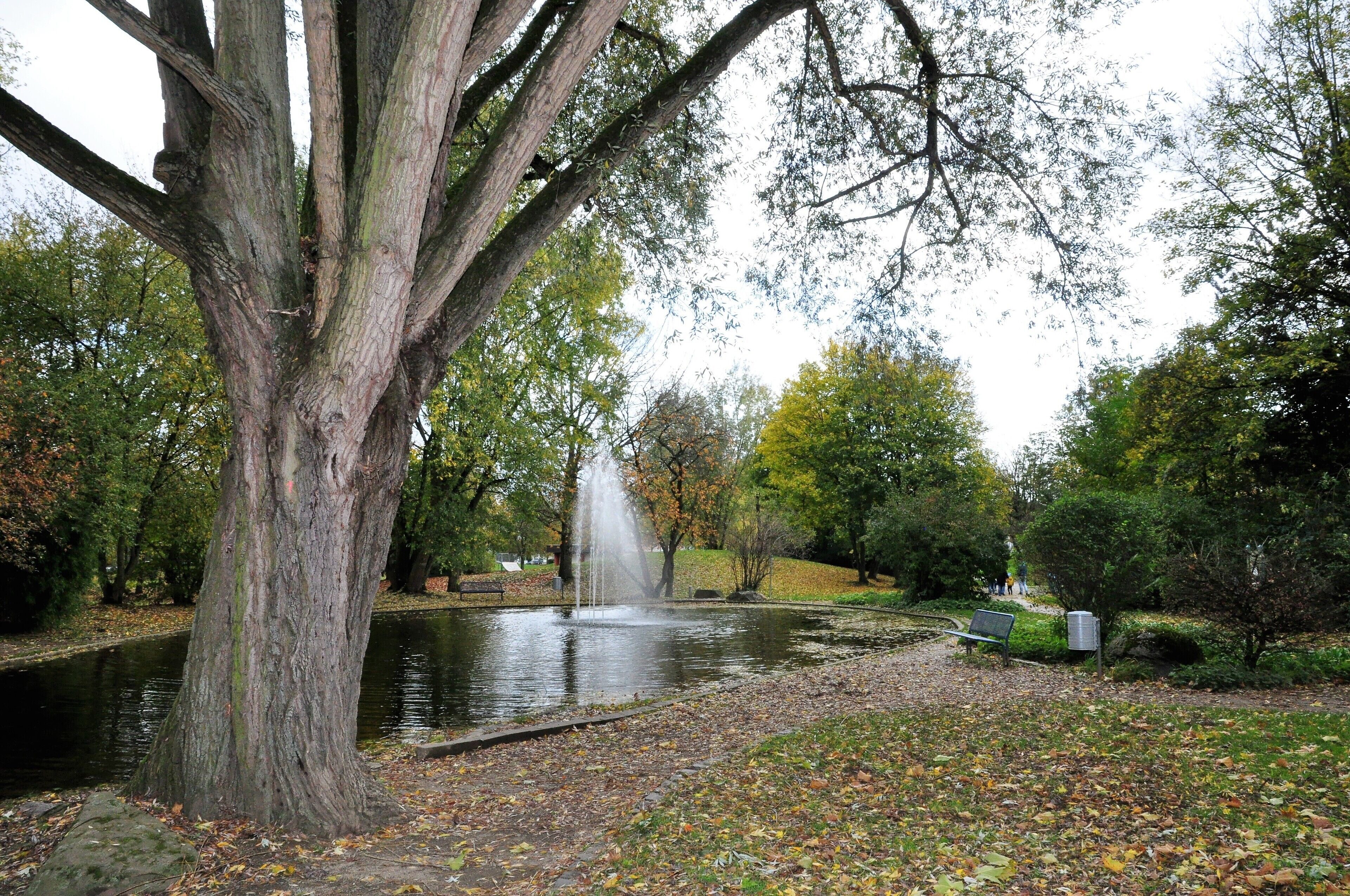 Children&#x27;s activities