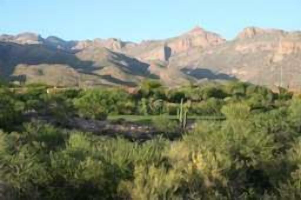 Picture Window Perfect-1 bedrm/den Stunning Mountain View- Many upgrades!!!