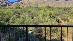 A balcony with a view of a mountainous landscape, featuring green vegetation and rocky terrain. - Picture Window Perfect-1 bedrm/den Stunning Mountain View- Many upgrades!!! (Tucson)