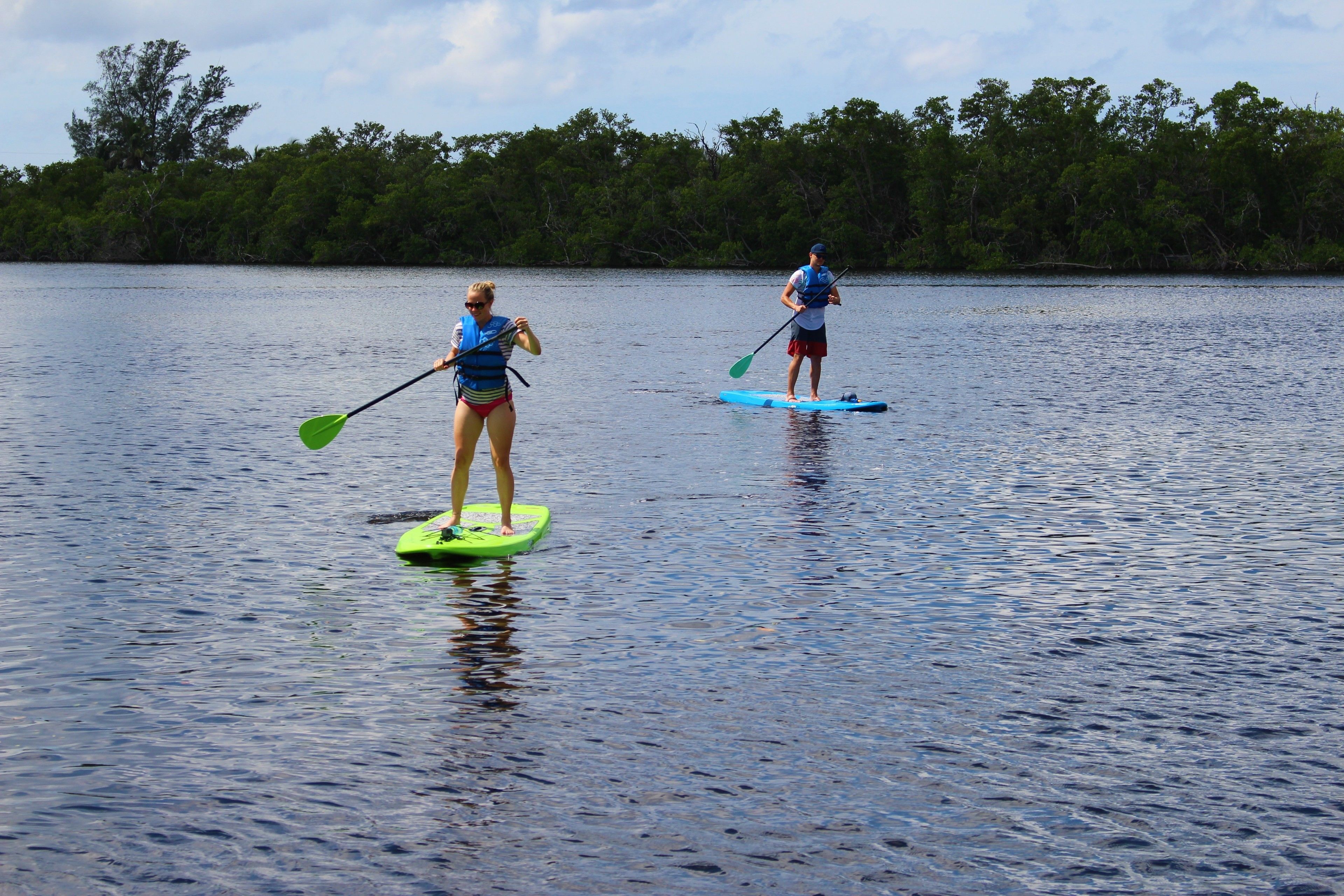 Two people paddleboarding on a calm body of water with a forested shoreline in the background.