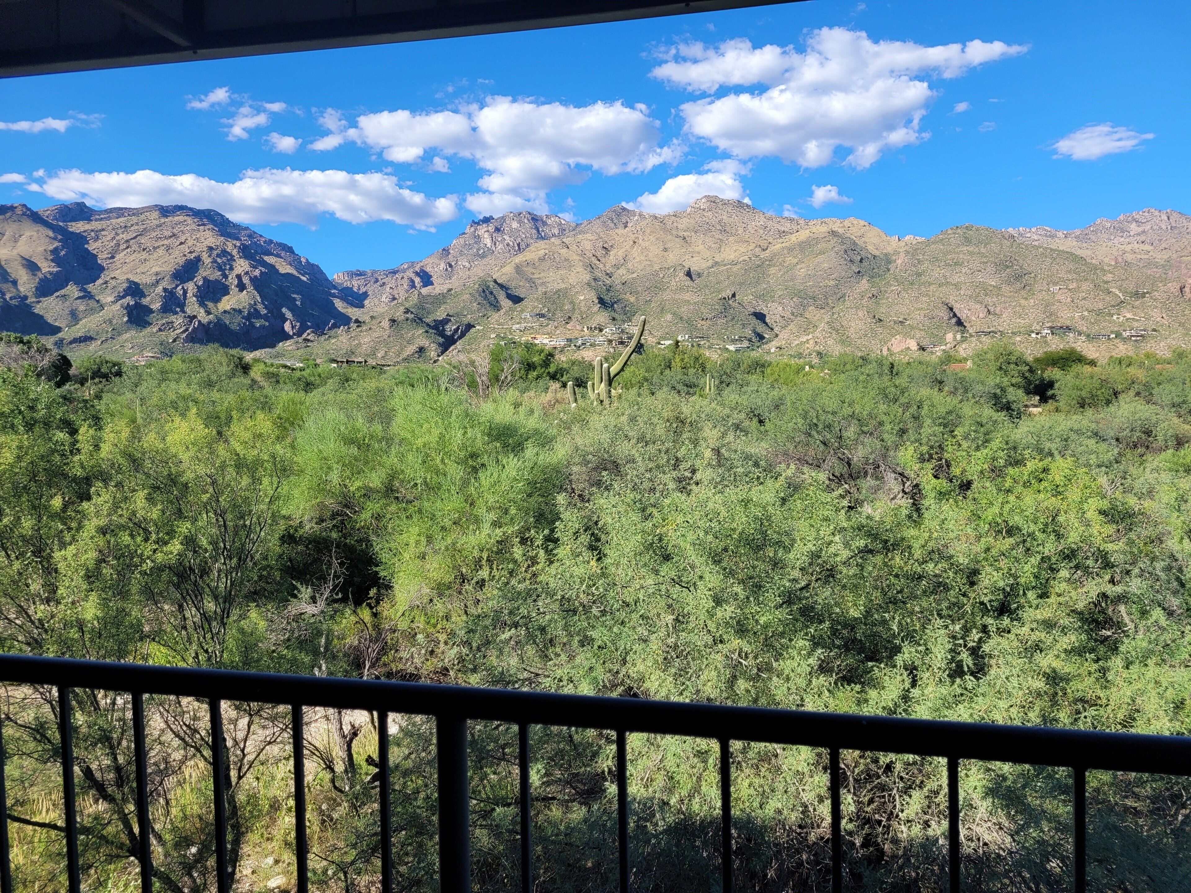 1 Bedrm-den with Breathtaking Mountain and Ventana Golf Course  Views!