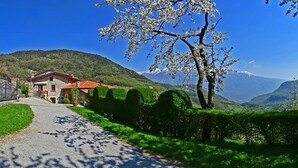A rural house with a stone facade, a red-tiled roof, and a paved driveway leading to a gate.