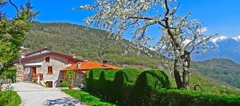 Casa Belvedere Viola 017189-CNI-00110