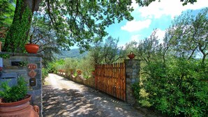 Ein Kiesweg führt zu einem Steintor mit einem Holzzaun, umgeben von üppiger Bepflanzung und Bäumen.