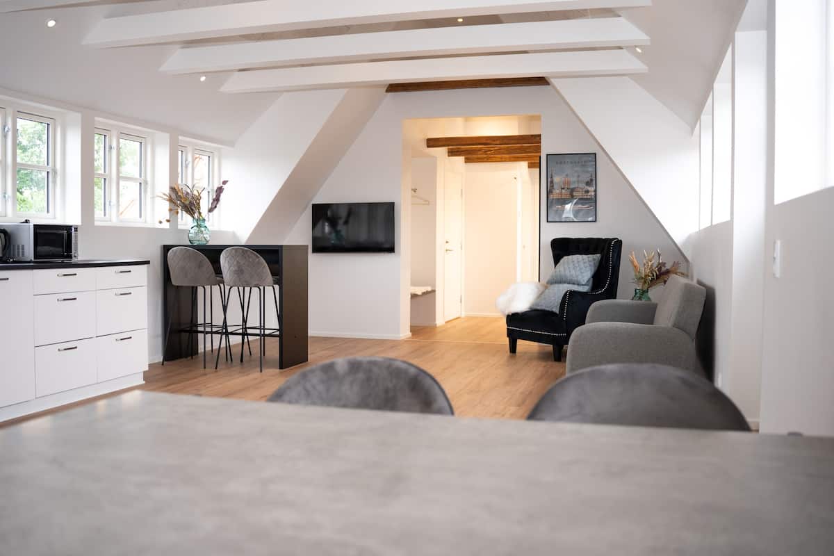 deluxe penthouse | living area | 50-inch smart tv with digital channels, tv