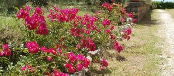 Agriturismo Le Quattro Stagioni