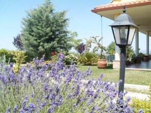 Un jardin avec de la lavande, un lampadaire et un arbre.