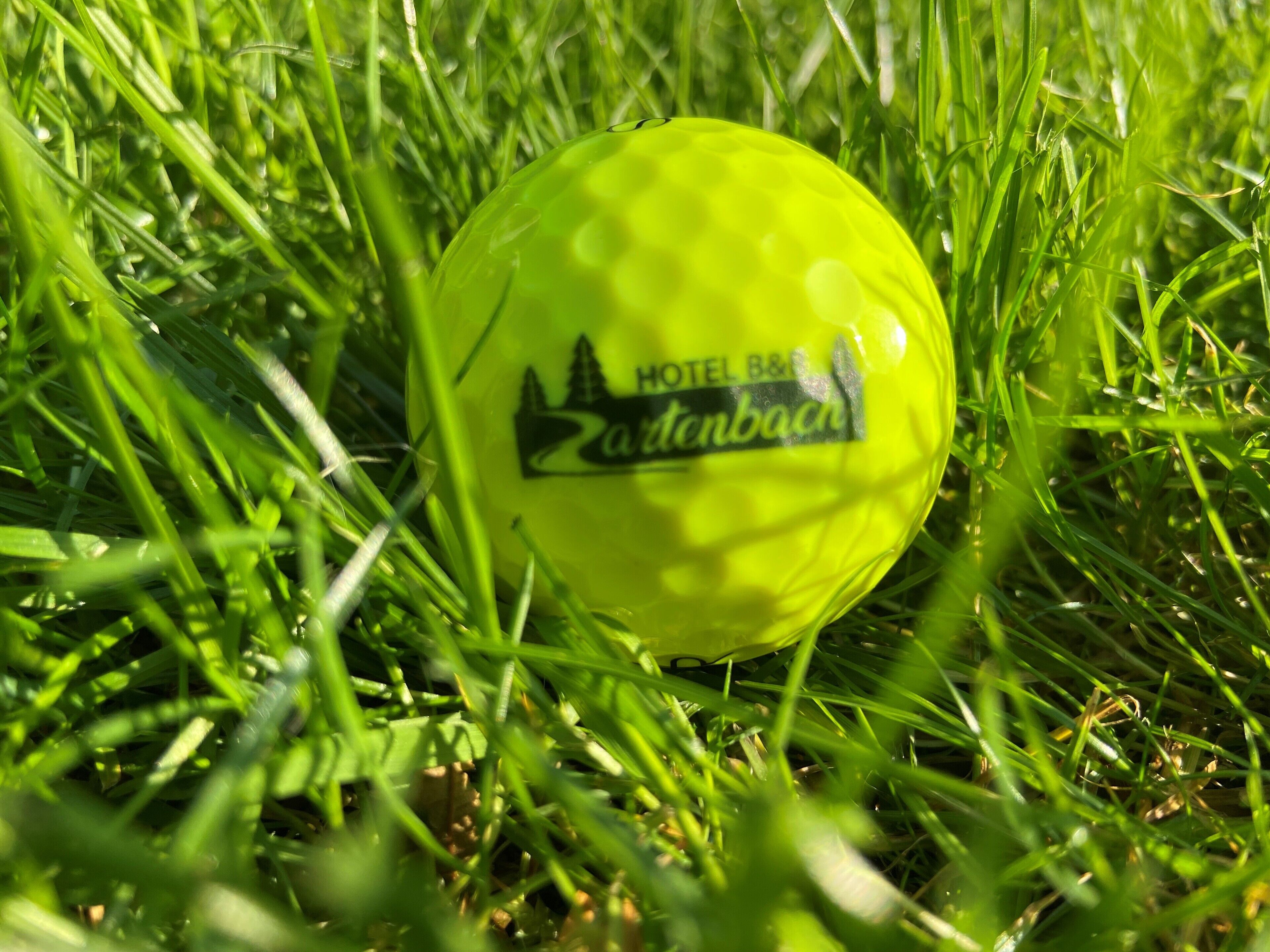 A golf ball with a logo and text on it, placed on grass.