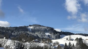 A snow-covered village with houses and a mountain in the background.