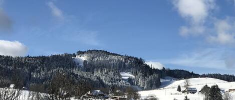 A snow-covered village with houses and a mountain in the background.