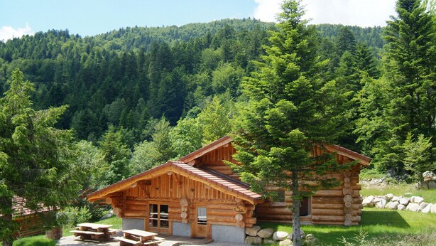 Une cabane en rondins dotée d’une véranda et de tables de pique-nique, entourée d’une forêt et avec une montagne en toile de fond.