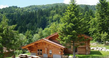 Unique Ă La Bresse chalet rondins de 220 mÂČ, groupe, famille, wifi, proche pistes