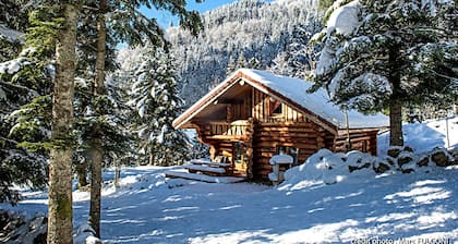 Magnifique Chalet rondins de 130 m² tout confort à La Bresse, wifi, très calme