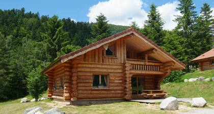 Magnifique Chalet rondins de 130 mÂČ, dans les Vosges, wifi, proche pistes