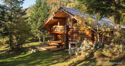 Magnifique Chalet rondins Ă La Bresse, tout confort, wifi, proche pistes, calme