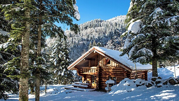 A log cabin surrounded by snow-covered trees. - Magnifique Chalet rondins à La Bresse, tout confort, wifi, proche pistes, calme (La Bresse)