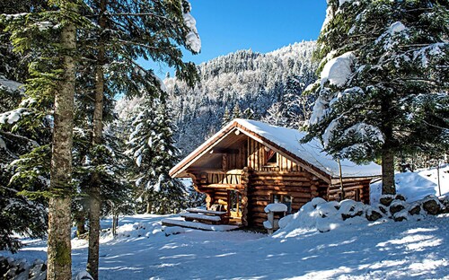 Magnifique Chalet rondins à La Bresse, tout confort, wifi, proche pistes, calme