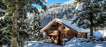 Magnifique Chalet rondins à La Bresse, tout confort, wifi, proche pistes, calme