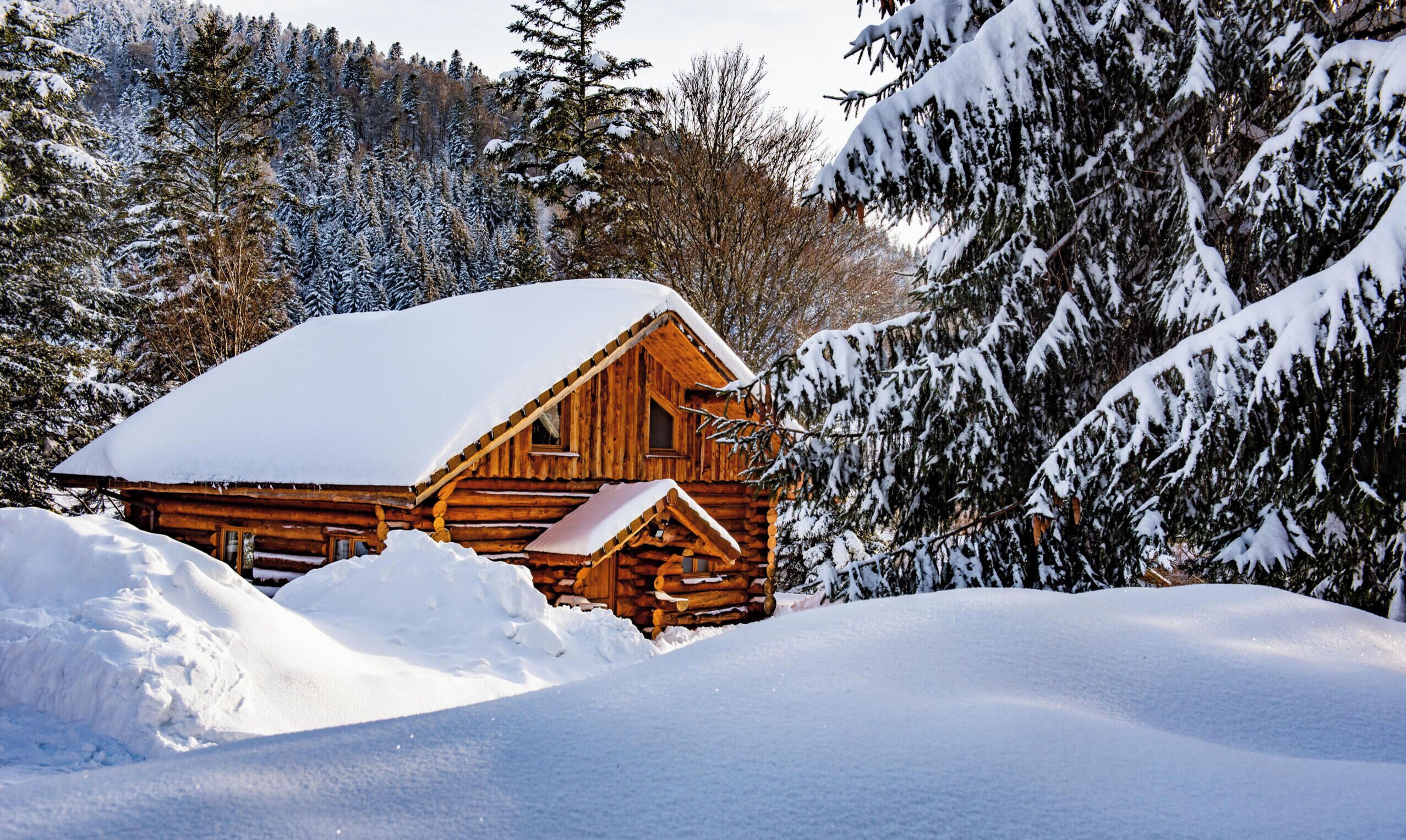 Une cabane en bois entourée d’arbres couverts de neige.