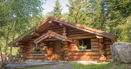 Magnifique chalet rondins à La Bresse, idéal famille, wifi, calme, terrasse