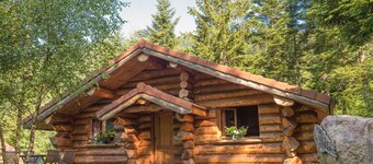 Mooie blokhut in La Bresse, ideaal gezin, wifi, rustig, terras