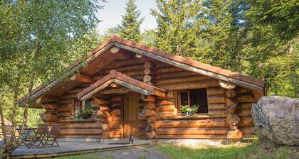 Magnifique chalet rondins à La Bresse, idéal famille, wifi, calme, terrasse