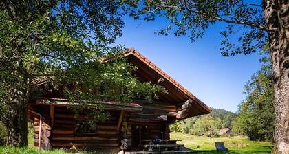 Beau Chalet rondins 130 m² à La Bresse, wifi, tout équipé, proche domaine skiable
