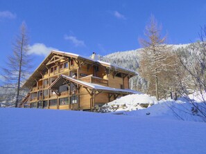 Exterior - Superbe appartement premium 42 m² La Bresse terrasse wifi vue montagne (La Bresse)