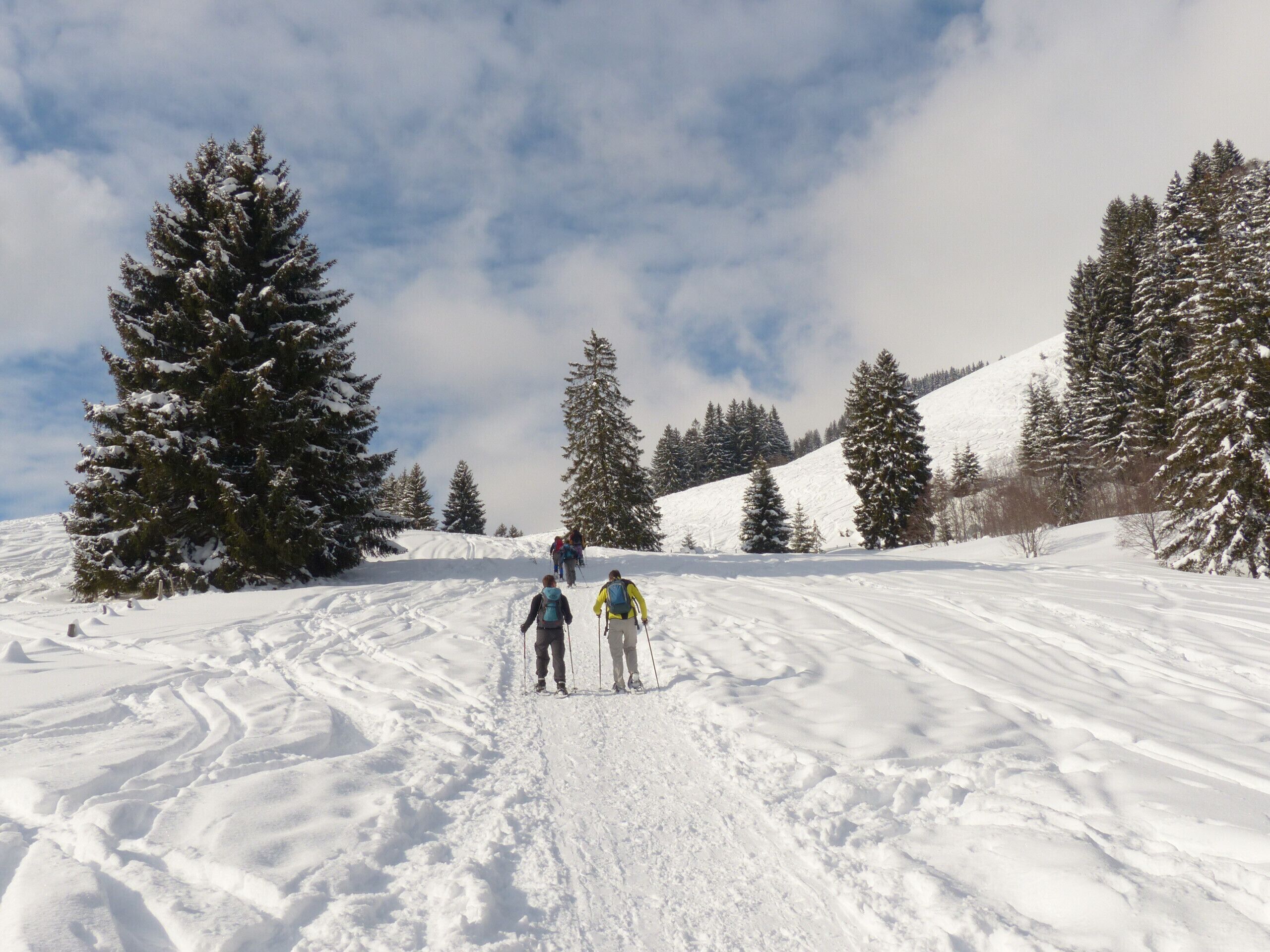 A snowy landscape with a clear sky and a trail leading uphill.