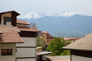 A traditional building with a tiled roof and a view of snow-capped mountains in the background.