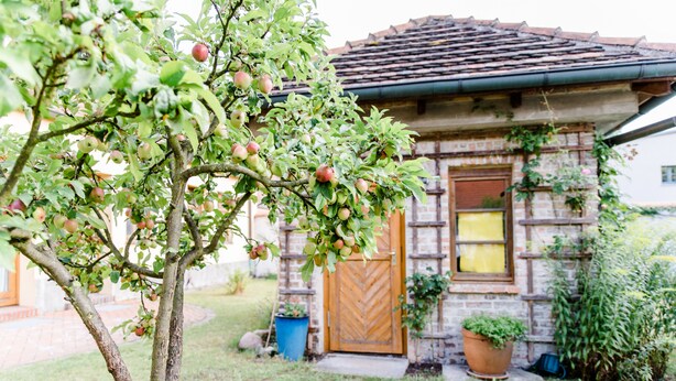 A rustic stone building with a wooden door and a small garden with a tree bearing fruit. - FRITZ Aparthotel Potsdam (Potsdam)