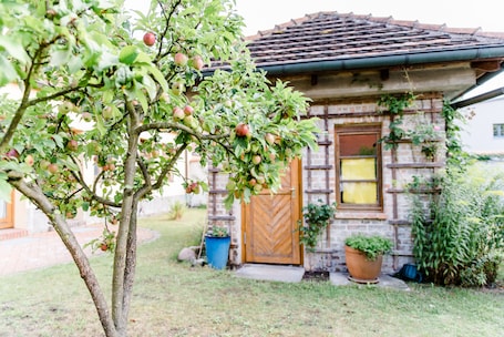 Comfort Double Room, City View | View from room