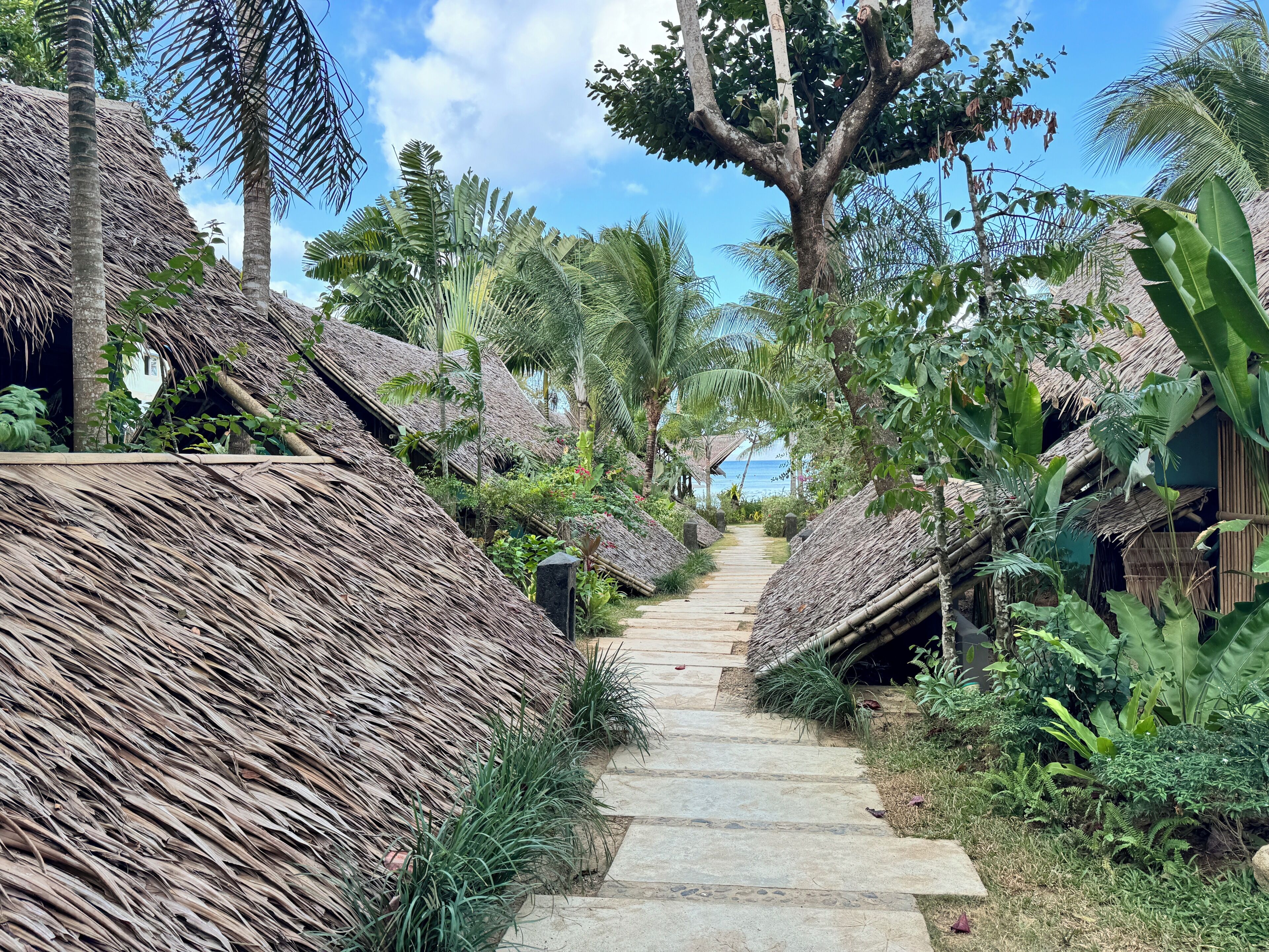 A pathway leading to thatched-roof structures surrounded by tropical vegetation.