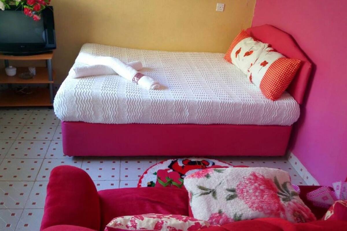 A small, cozy room with a single bed, a television on a stand, and a pink wall.