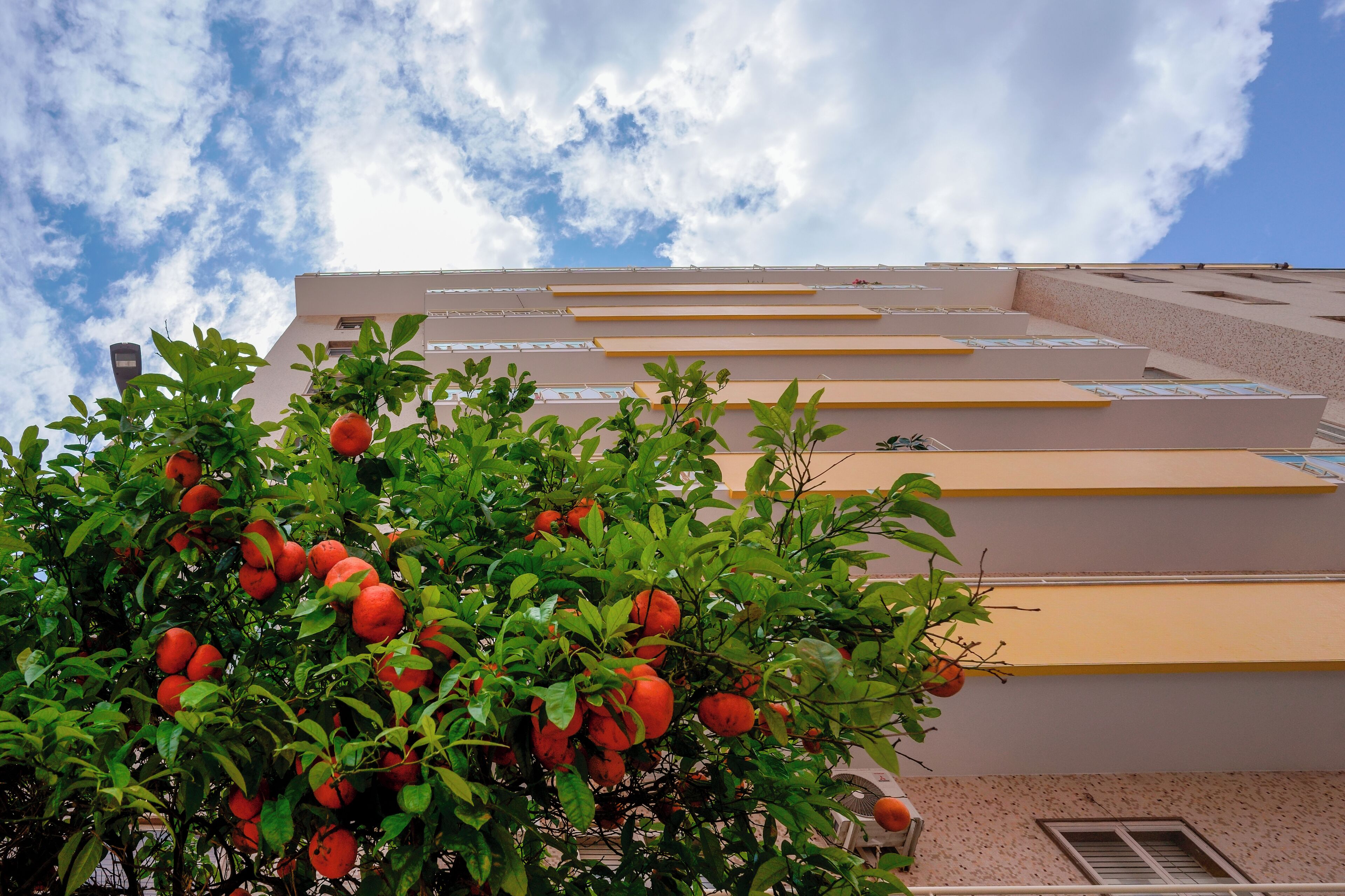 Photo - Lumiere Rooms - Eja Sardinia