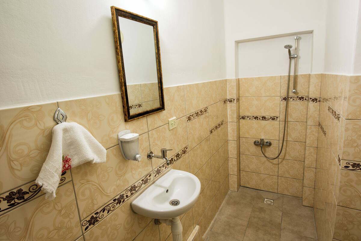 shower, free toiletries, hair dryer, slippers