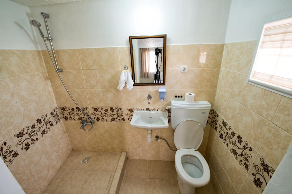 shower, free toiletries, hair dryer, slippers