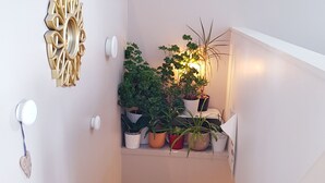 En hörna i ett rum med en vit vägg, en dekorativ guldspegel, en hylla med krukväxter och en färgstark tavla.