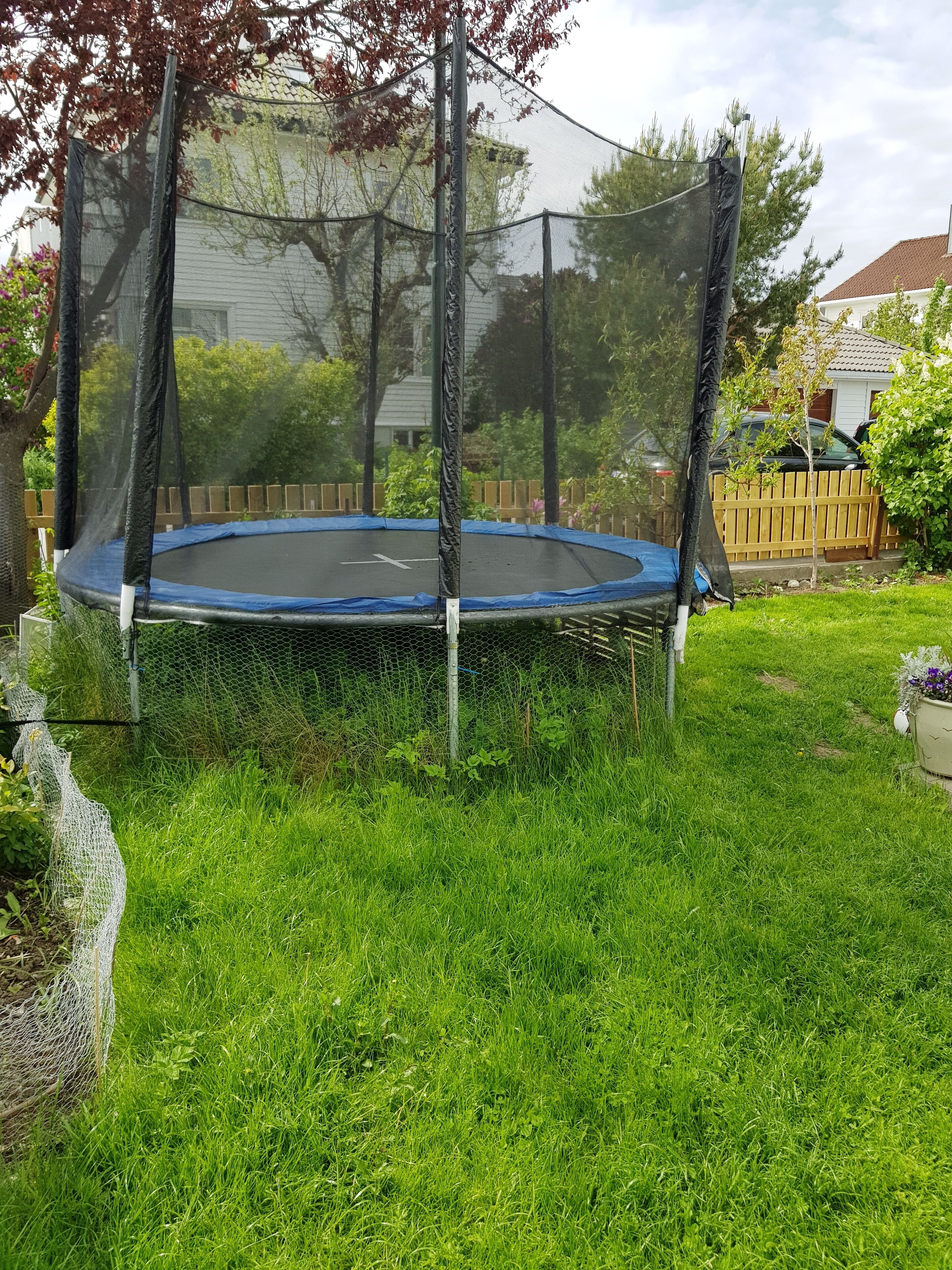 A trampoline surrounded by a safety net in a grassy backyard with a wooden fence and trees in the background.