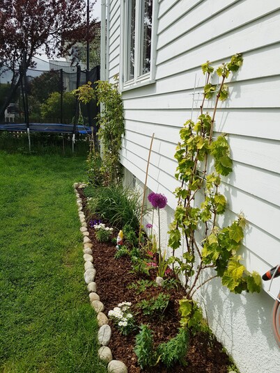 Solferie Holiday Apartment Tors gate