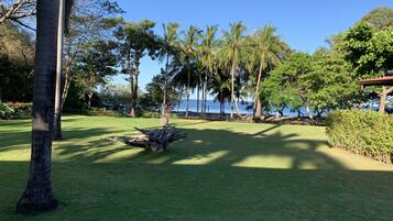 Vue sur la plage/l’océan