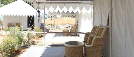 Double or Twin Room | Terrace/patio