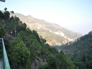 Paisaje montañoso con densos bosques de pino y edificios dispersos.