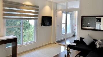 Habitación con 1 cama matrimonial o 2 individuales | Área de sala de estar | Televisión